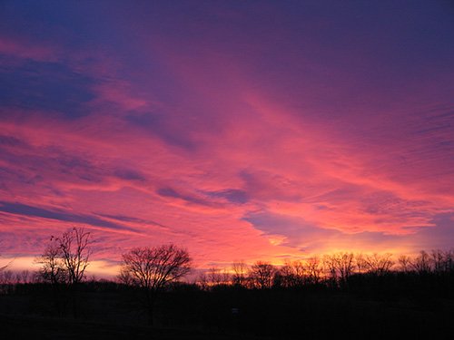 Property photo 31 - REAL ESTATE AUCTION, 163+/- Acres offered in 8 Tracts